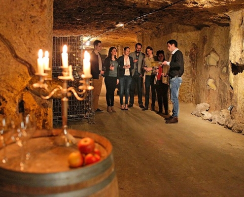 Loirevalley-visite cave et degustation vin en Loire Valley